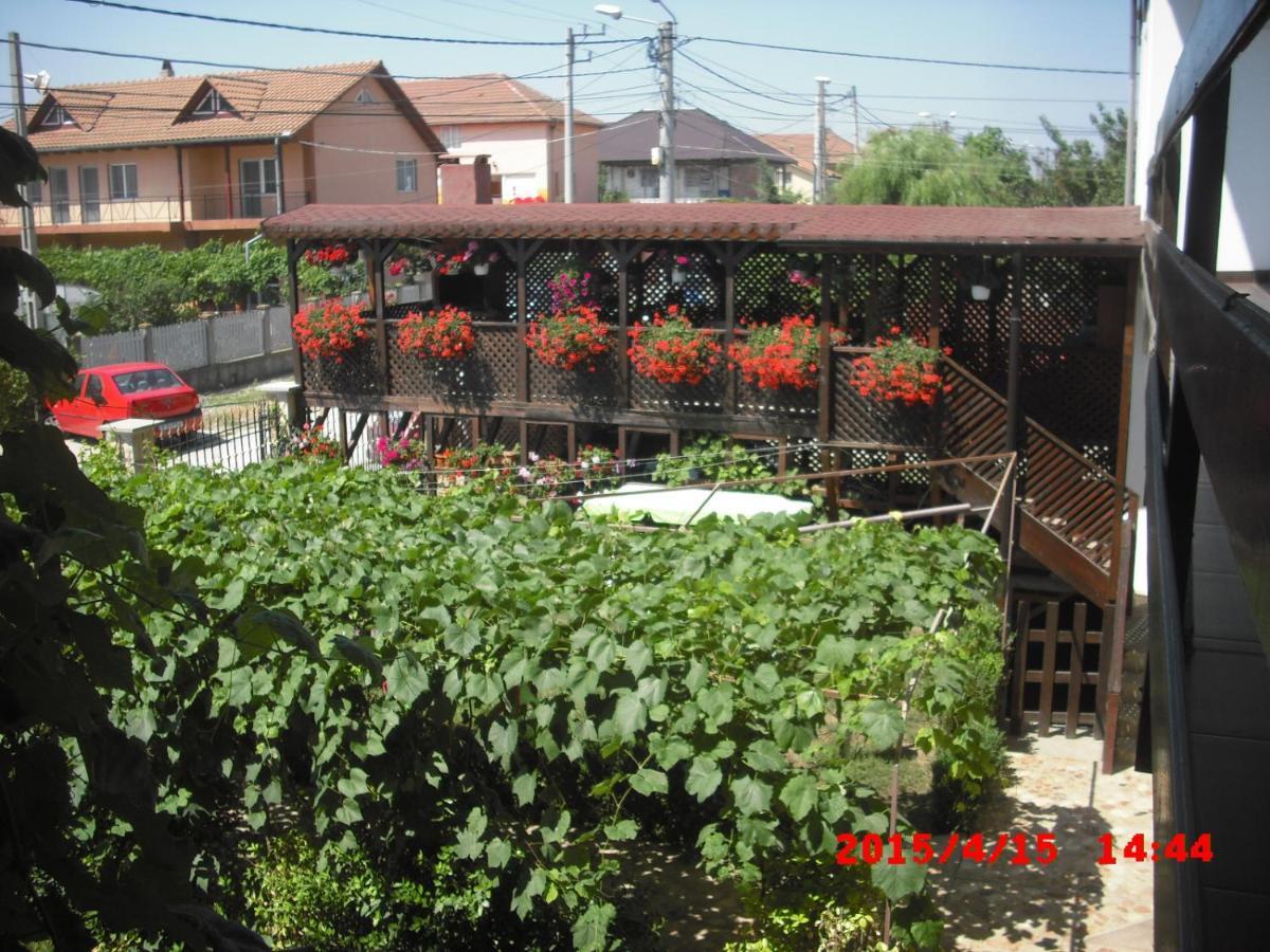 Hotel Casa Ciobi Două Mai Esterno foto
